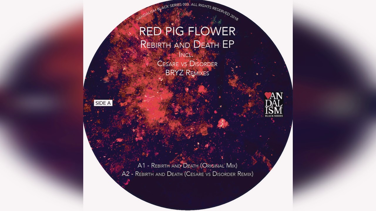 Red Pig Flower 最新EPは夢の世界のようなディープ・ミニマルテクノ