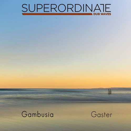 ダブテクノ専門レーベル Superordinate Dub Waves 最新EPは Gambusia がリリース